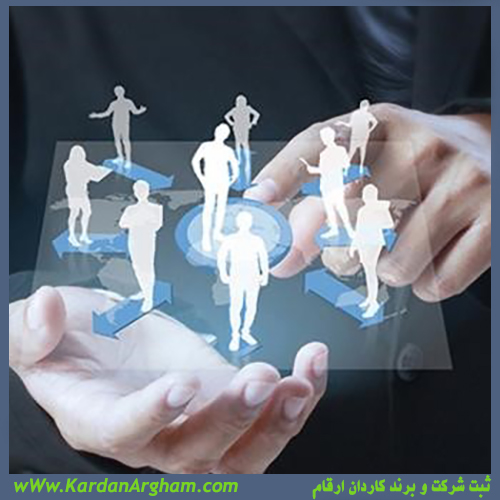 اخذ رتبه شرکت